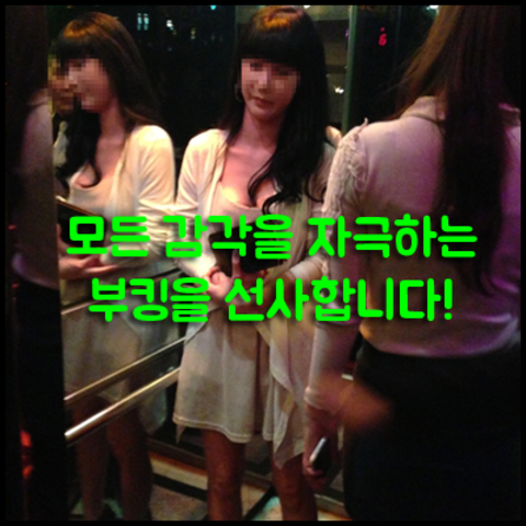 강남나이트 후기